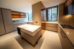 21 Anderson (D10), Condominium #517452721